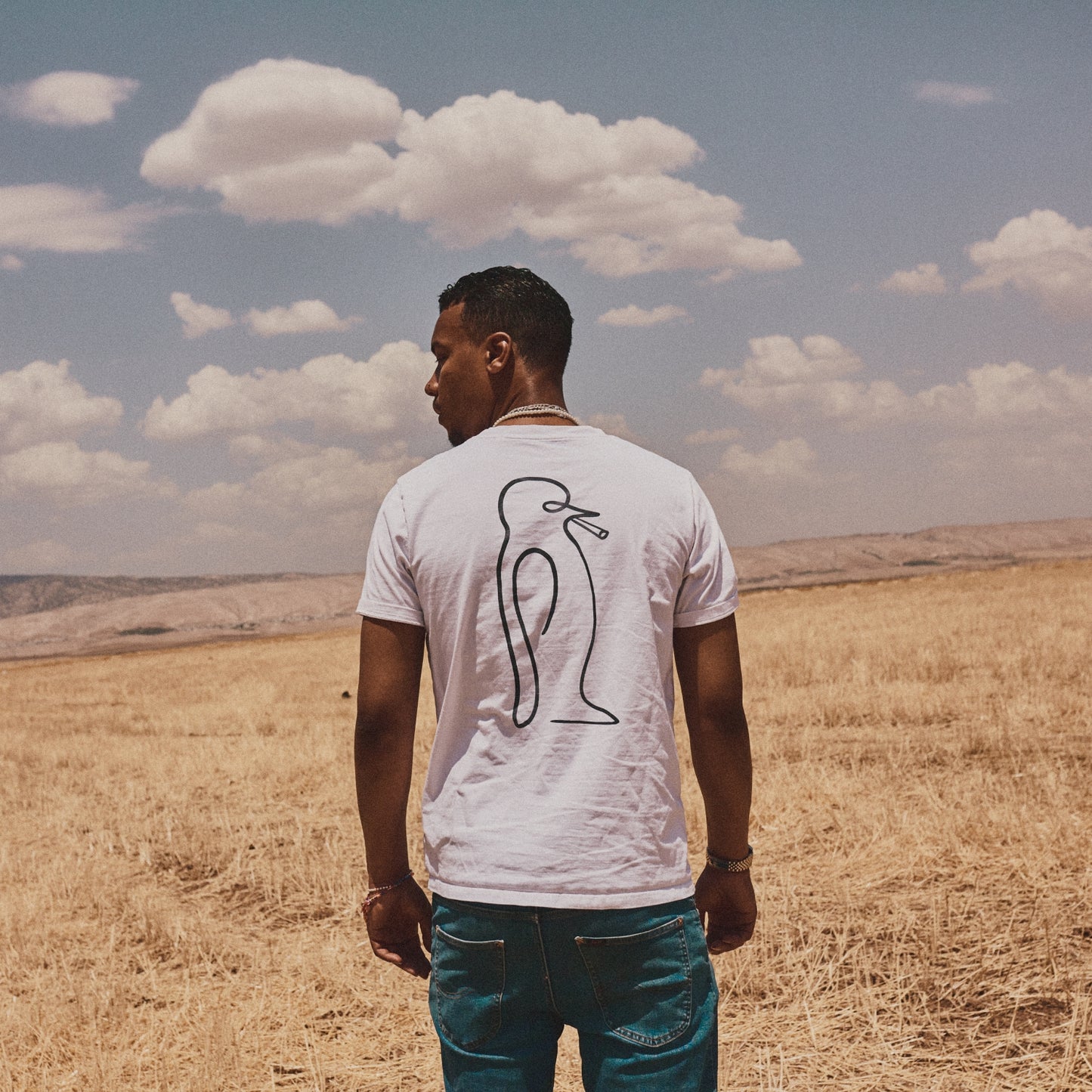 shirt psanpv